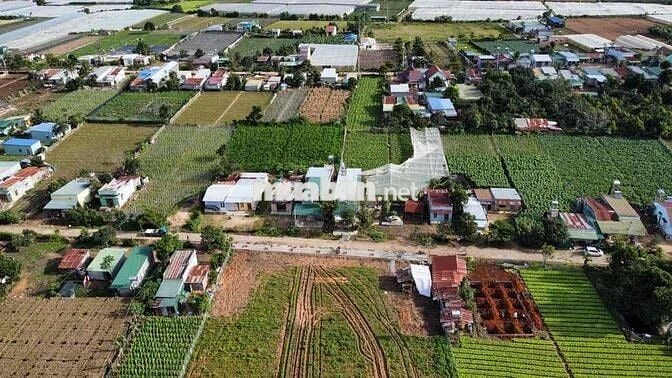 7 NỀN DRAN RA MẮT- ĐƯỜNG BÊ TÔNG THÔNG RỘNG RÃI- SẴN THỔ CƯ