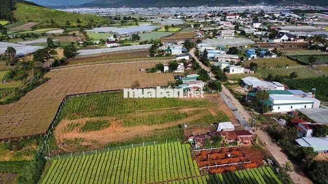 7 NỀN DRAN RA MẮT- ĐƯỜNG BÊ TÔNG THÔNG RỘNG RÃI- SẴN THỔ CƯ