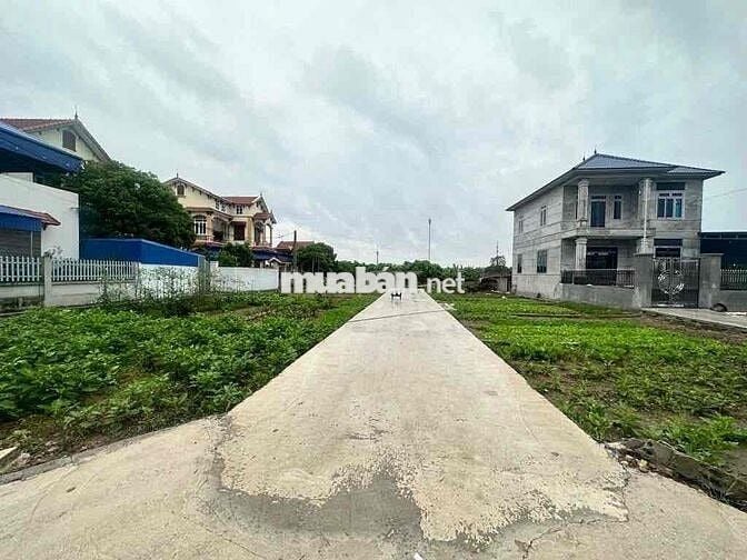 BÁN ĐẤT TÂN DÂN, KHOÁI CHÂU, HƯNG YÊN