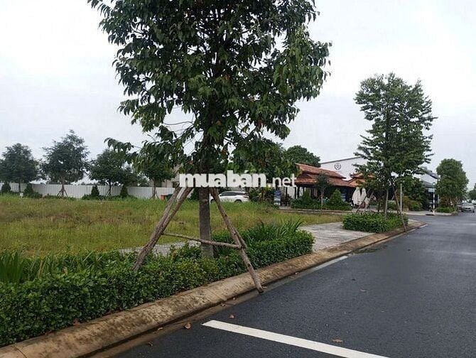 ĐẤT MT ĐƯỜNG NHỰA ĐÃ CÓ SỔ HỒNG RIÊNG,NGAY SÁT CHỢ ĐỨC HOÀ ,GIÁ  950TR