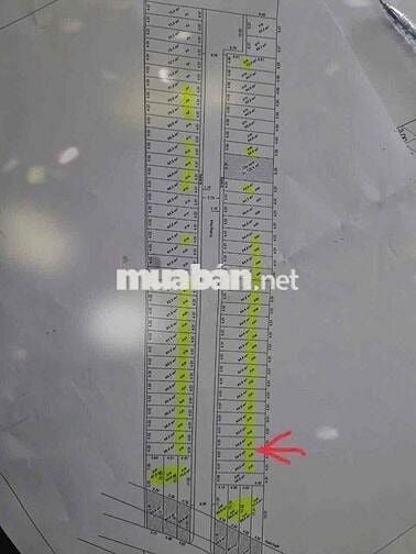 Bán Gấp Lô Đẹp Ngô Chí Quốc – Đường 8m, 64,6m² – Giá 3.55 Tỷ