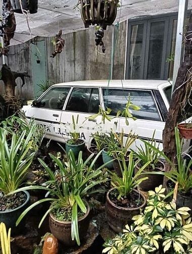 Toyota Cressida 1988 Tôi không rõ - 123456 km