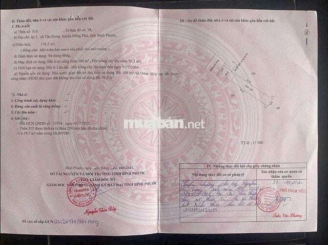 400Triệu/Bank Cần Bán Gấp Tân Hưng - ĐỒNG PHÚ