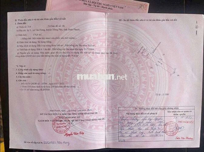 400Triệu/Bank Cần Bán Gấp Tân Hưng - ĐỒNG PHÚ