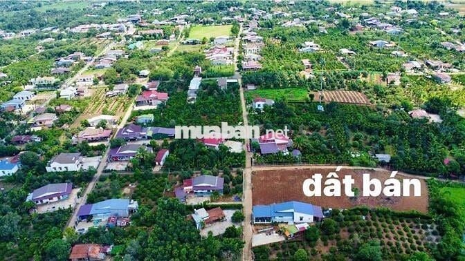 1.6tr/m2 đất Khu dân cư Thị trấn Tân Phú, cách CoopMart huyện đúng 1km