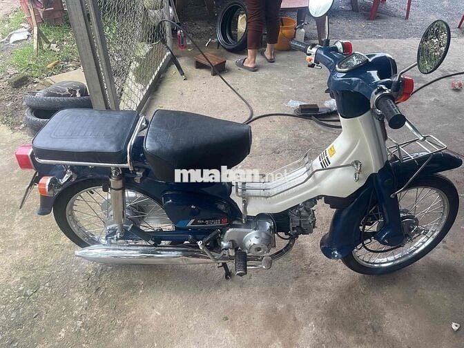 xe cub 81