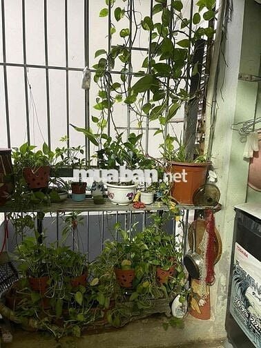 Bán chung cư Nguyễn Cơ Thạch, Mỹ Đình. Dt 85m2, 3n 2vs. Giá 6.35 tỷ