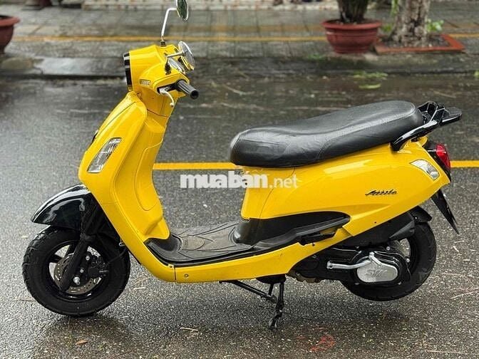 ELIZABETH BIỂN ĐẸP XE DỌN MỚI