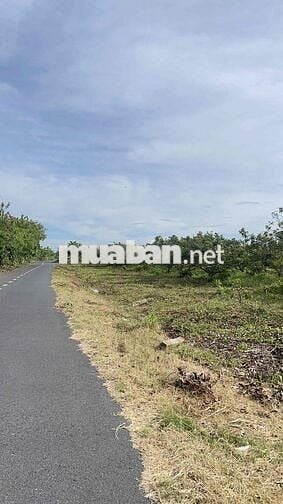 Mặt tiền đường nhựa Bình Châu, cạnh suối nước nóng