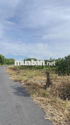 Mặt tiền đường nhựa Bình Châu, cạnh suối nước nóng
