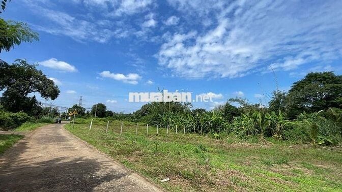 Đất ngộp giá cực rẻ sẵn thổ cư ven suối gần KCN, sát SBay LT chỉ 17km