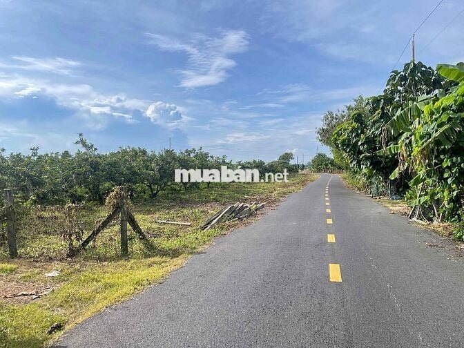 Mặt tiền đường nhựa Bình Châu, cạnh suối nước nóng