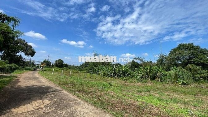 Đất ngộp giá cực rẻ sẵn thổ cư ven suối gần KCN, sát SBay LT chỉ 17km