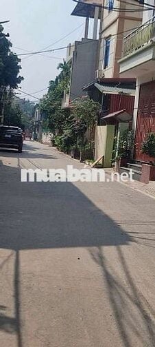 Cần bán nhà 4,6 Tỷ 35m2 5 tầng 10m ra ngõ oto