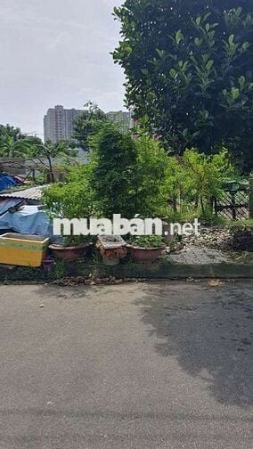 Chủ ở mỹ Gửi Bán lô đất giá rẻ nhất thị trường , đường 10m5