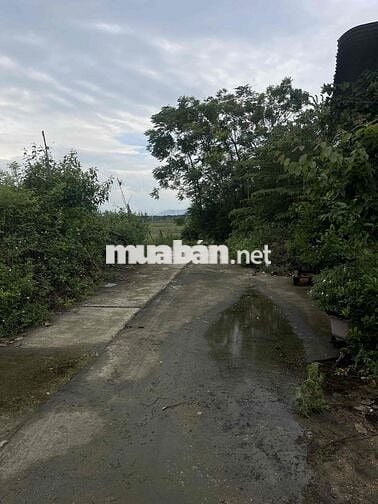 ĐẤT THỔ CƯ ĐƯỜNG KHÁI TÂY - HOÀ QUÝ - NGŨ HÀNH SƠN -ĐN