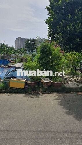 Chủ ở mỹ Gửi Bán lô đất giá rẻ nhất thị trường , đường 10m5