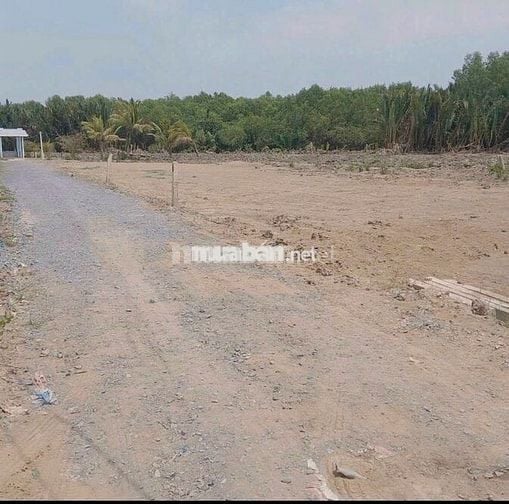 Đất sổ đỏ 288m2 thổ cư, đường huyện 24,Cần Đước, long an