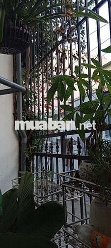 Nhà mặt kiệt xe tải đối diện đại học duy tân