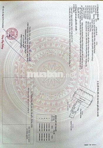 Bán đất 5x24 đường 22m Lê Chí Dân giá 3ty590