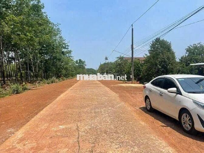 Vị trí đẹp gần nhất KCN Tân Tiến 1-2, đường 29m nhựa
