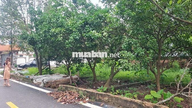 BÁN LÔ ĐẤT ĐẸP – 2 MẶT TIỀN RỘNG – THANH OAI - HÀ NỘI BÁN LÔ ĐẤT ĐẸP – 2 MẶT TIỀN RỘNG – THANH OAI - HÀ NỘI