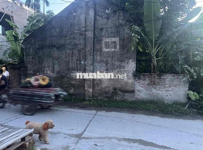 chủ bán 108m đất thôn bãi, cao viên thanh oai hà nội