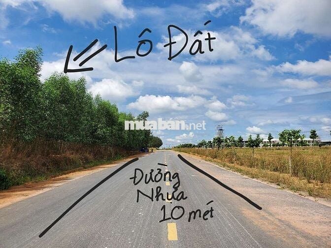 CẦN BÁN GẤP 31ha ĐẤT CLN – 2km MẶT TIỀN ĐƯỜNG NHỰA SỐ 11