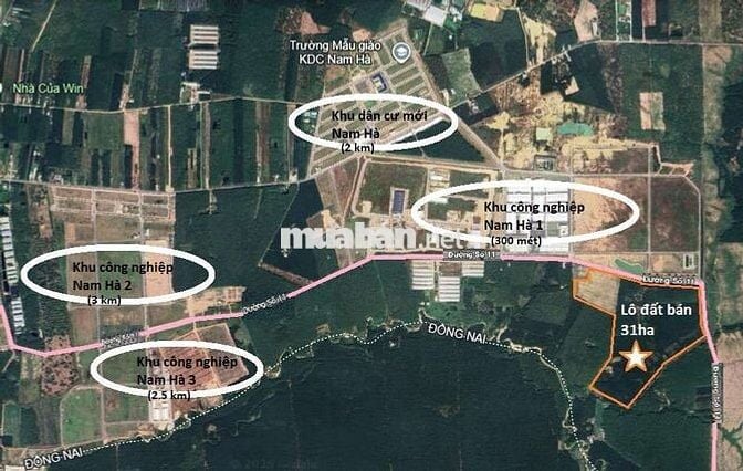 CẦN BÁN GẤP 31ha ĐẤT CLN – 2km MẶT TIỀN ĐƯỜNG NHỰA SỐ 11