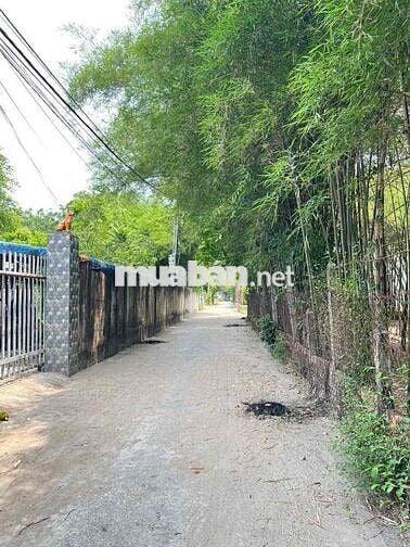 Đất Hiệp An 1/ Nguyễn Chí Thanh gần cầu ôg Cộ trường học 500m 6x28