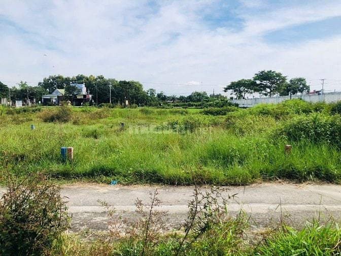 4,5x25(114m2) Full Thổ Cư, Hẻm Nguyễn Trãi, Bình Tân, LaGi  950 Triệu
