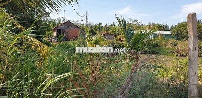 Chính chủ bán đất rẫy xã  Hoà Phú - Buôn Ma Thuột