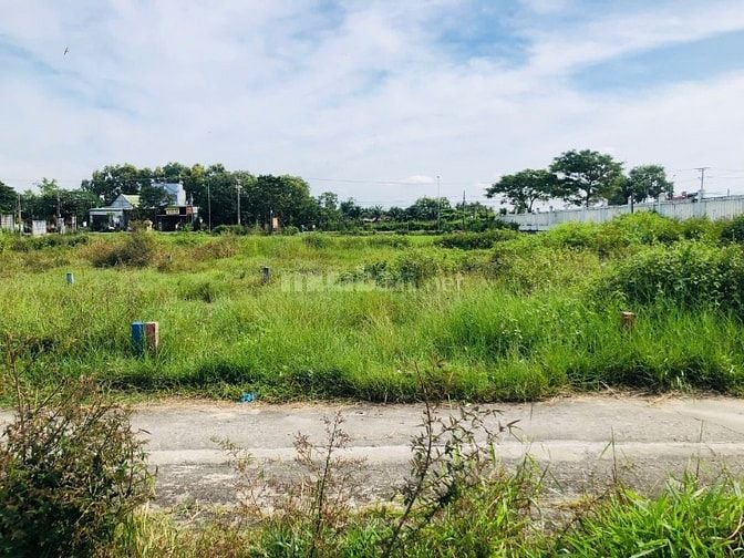 4,5x25(114m2) Full Thổ Cư, Hẻm Nguyễn Trãi, Bình Tân, LaGi  950 Triệu