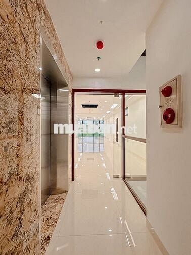 SIÊU PHẨM NGUYỄN KHANG – 8T TM – THÔNG SÀN – PCCC FULL – VỈA HÈ RỘNG