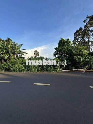 🔥 MẶT TIỀN ĐƯỜNG A5 (10x25M)– BUÔN MA THUỘT, BAO KHU VỰC🔥