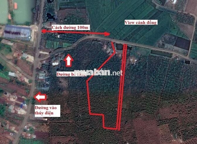 Chính chủ bán đất rẫy xã  Hoà Phú - Buôn Ma Thuột