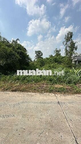 Đất vườn 786m2 ( còn thương lượng )