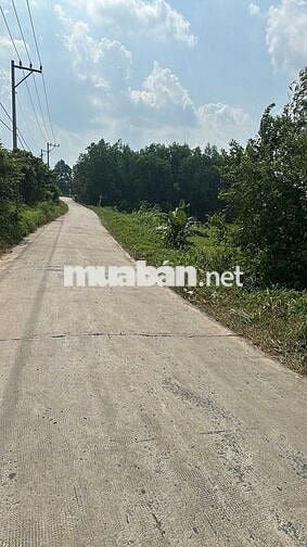 Đất vườn 786m2 ( còn thương lượng )