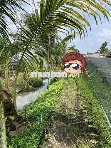 Đất mặt tiền đẹp view sông lộ nhựa 8 tấn khu dân cư đông đúc