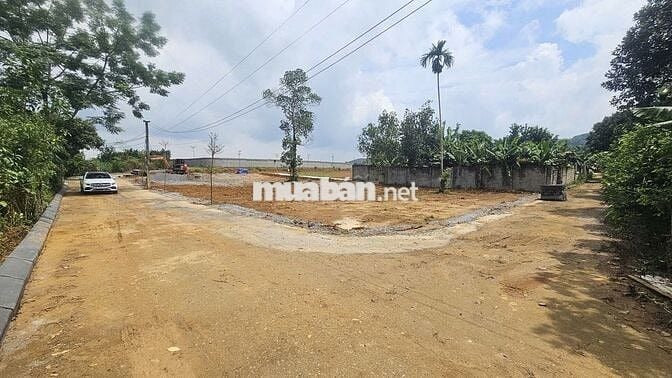 Chính chủ bán đất nền 145m2 trong lõi KCN Bảo Hiệu, giá siêu tốt 5xxtr