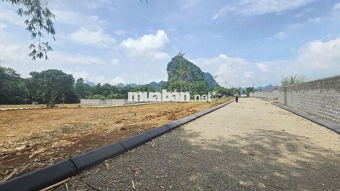 Chính chủ bán đất nền 145m2 trong lõi KCN Bảo Hiệu, giá siêu tốt 5xxtr