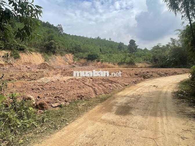 1186 m2 đất ở Biệt thự vườn tựa sơn hướng thủy, view siêu đep