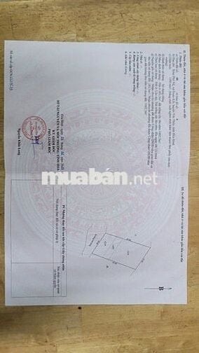 1186 m2 đất ở Biệt thự vườn tựa sơn hướng thủy, view siêu đep