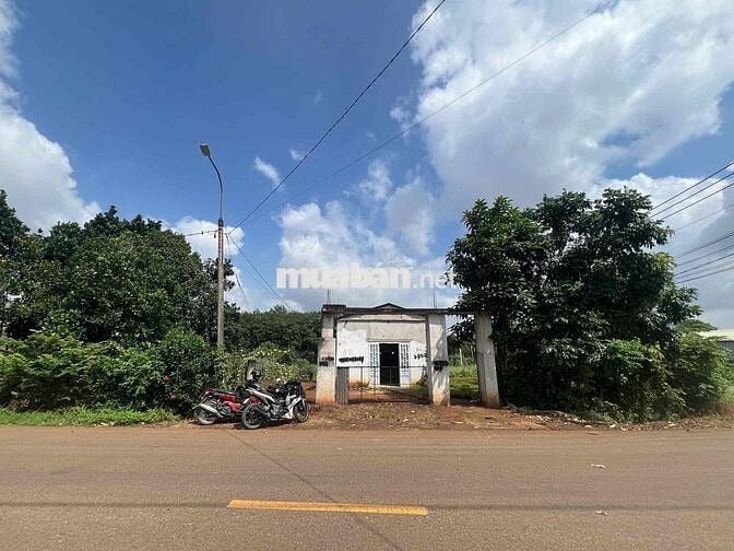 Bán đất 2 mặt tiền đường nhựa tại Phú Mỹ - BRVT