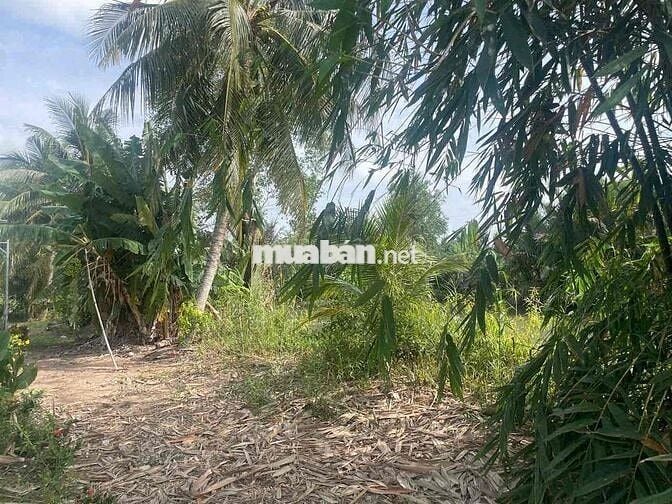 Đất mặt tiền đẹp view sông lộ nhựa 8 tấn khu dân cư đông đúc