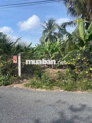 Đất mặt tiền đẹp view sông lộ nhựa 8 tấn khu dân cư đông đúc