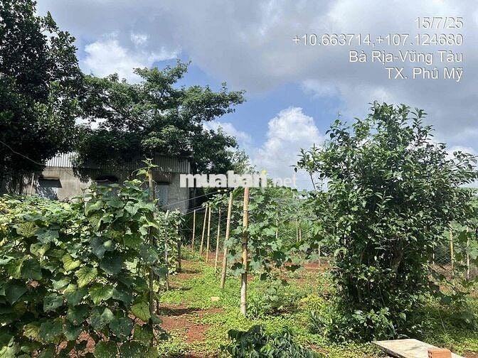 Bán đất 2 mặt tiền đường nhựa tại Phú Mỹ - BRVT