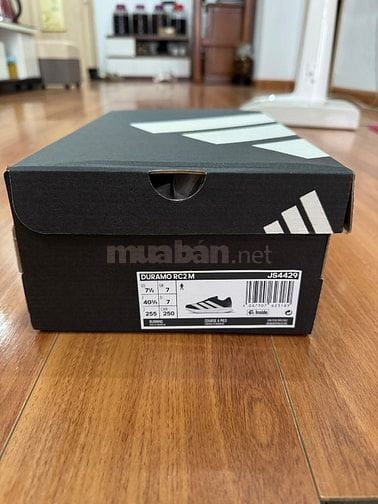 Cần pass lại giày adidas chính hãng