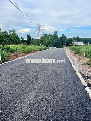 Bán đất thổ cư TpHCM 250m2 có 100tc