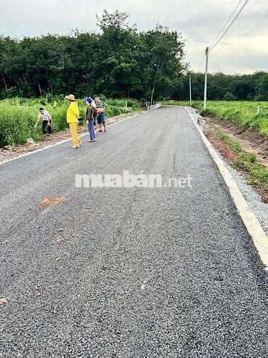 Bán đất thổ cư TpHCM 250m2 có 100tc